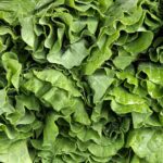 What Are Mustard Greens And Collard Greens?