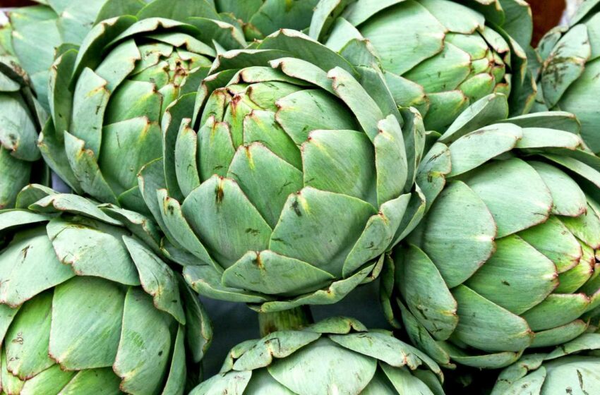  How To Select Artichokes